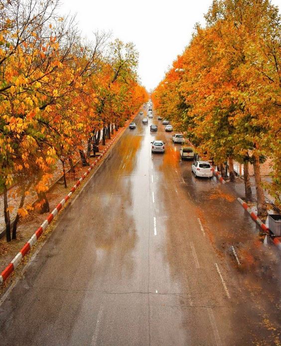 حال و هوای پاییزی بلوار طاق بستان کرمانشاه +عکس