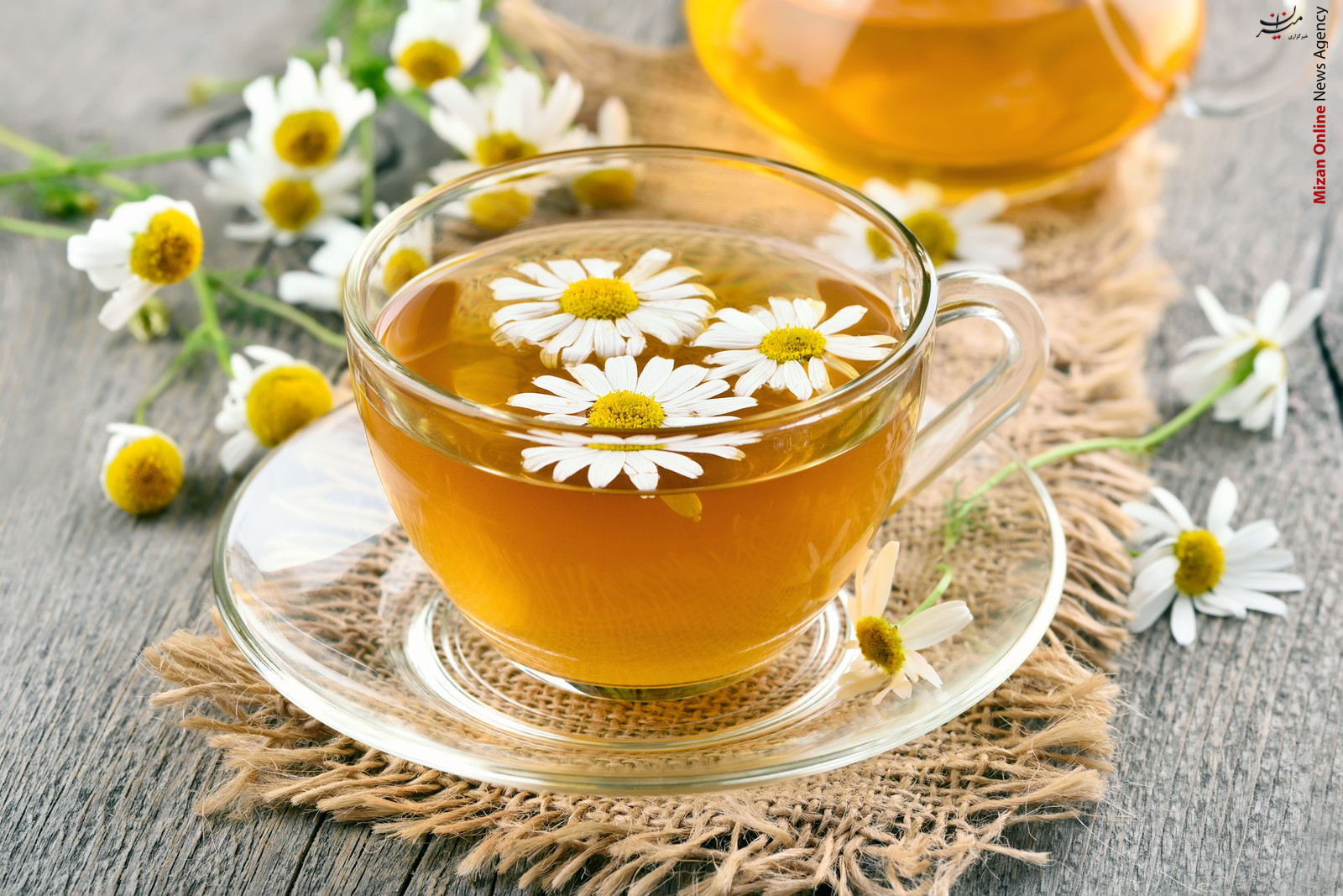 شربت دفع سنگ کلیه حساس ترین سن ابتلا به چاقی در کودکان/شربتی مفید برای دفع سنگ کلیه/کنترل فشار خون با مواد غذایی