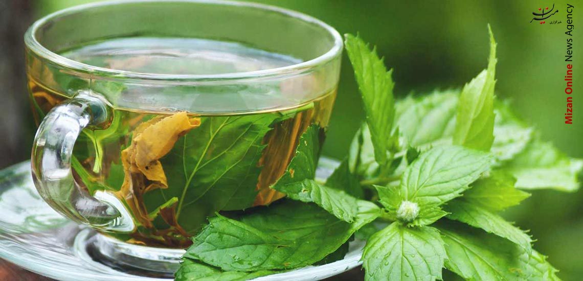خبر خوب برای قهوه‌خورها/ چطور با از بین بردن افکار منفی به وزن ایده آل برسیم/ ۸ خاصیت چای پونه برای سلامتی/۵ دلیل احتمالی قرمزی چشم‌ها