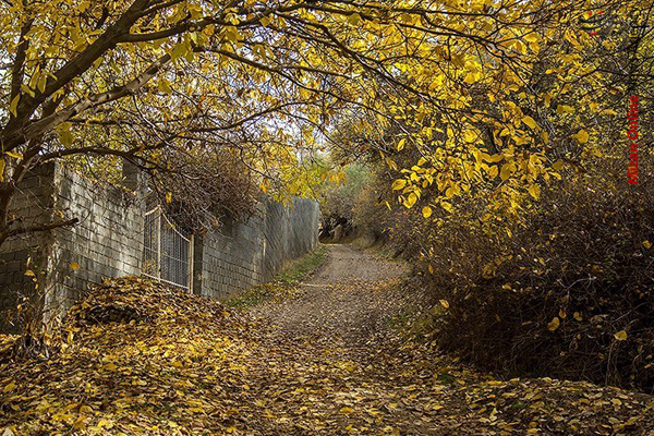 طبیعت زیبای پاییزی کردستان+عکس