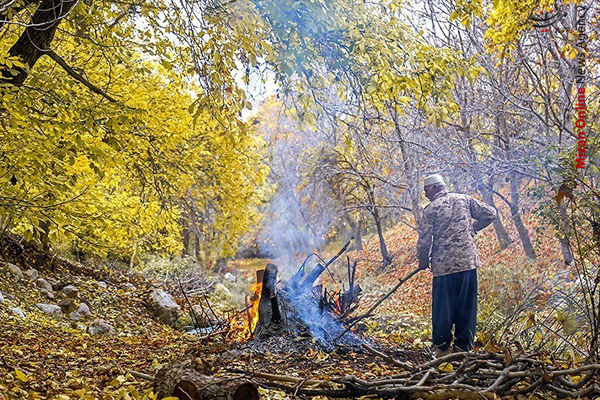 طبیعت زیبای پاییزی کردستان+عکس