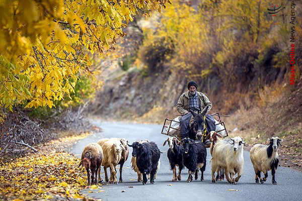 طبیعت زیبای پاییزی کردستان+عکس