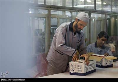 خاصترین کارخانه ایران! +تصاویر خاصترین کارخانه ایران! +تصاویر