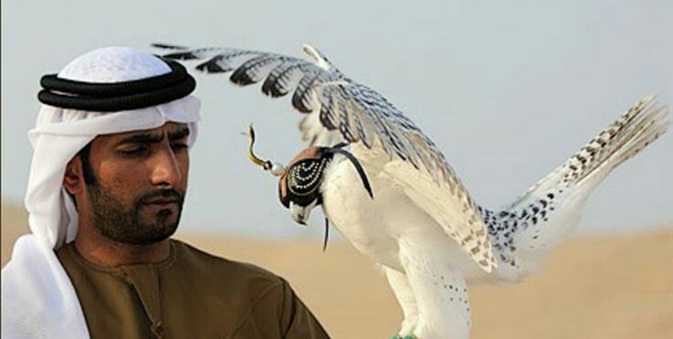 رشوهدهی شاهزادگان قطری برای شکار