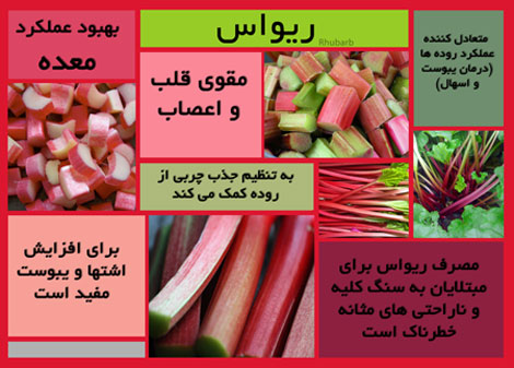 با خواص فوق العاده ریواس بیشتر آشنا شوید +اینفوگرافی با خواص فوق العاده ریواس بیشتر آشنا شوید +اینفوگرافی