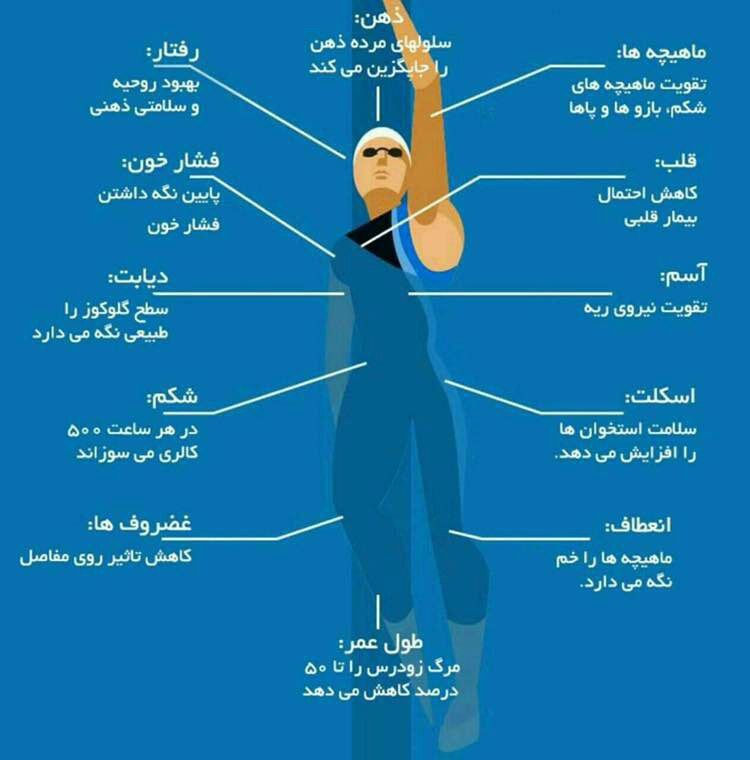 تاثیر شگفت انگیز ورزش شنا بر بدن! +اینفوگرافی تاثیر شگفت انگیز ورزش شنا بر بدن! +اینفوگرافی
