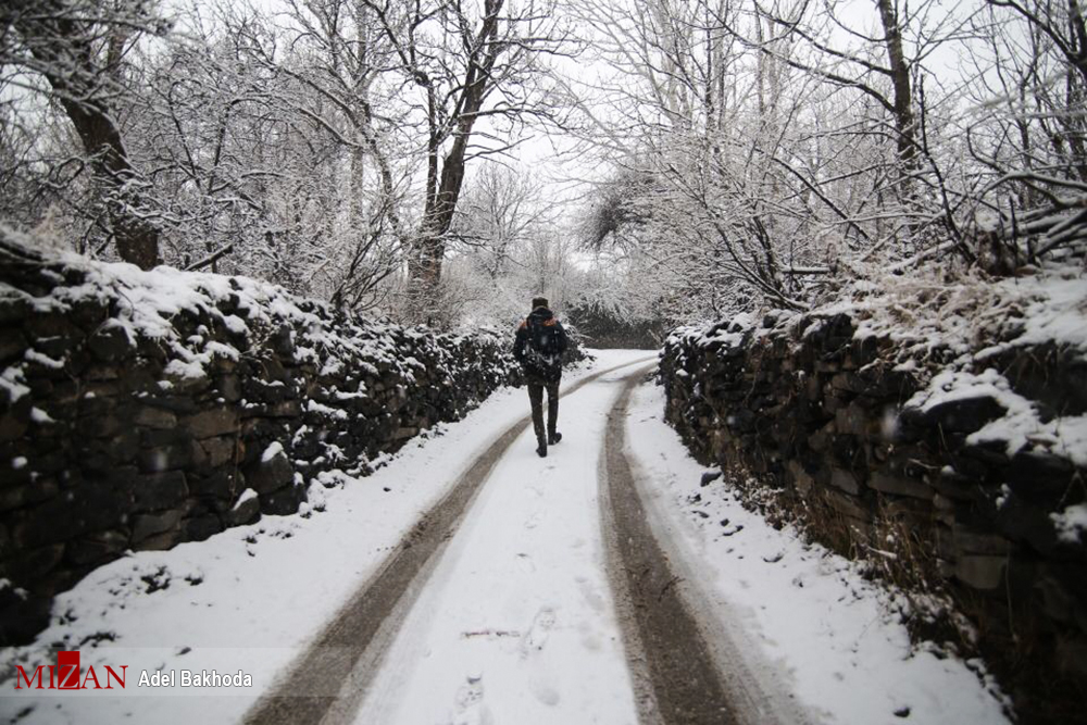 بارش باران در نواحی جنوبی کشور/بارش برف در کرمان/ دوشنبه؛ بارش برف در آذربایجان غربی و شرقی