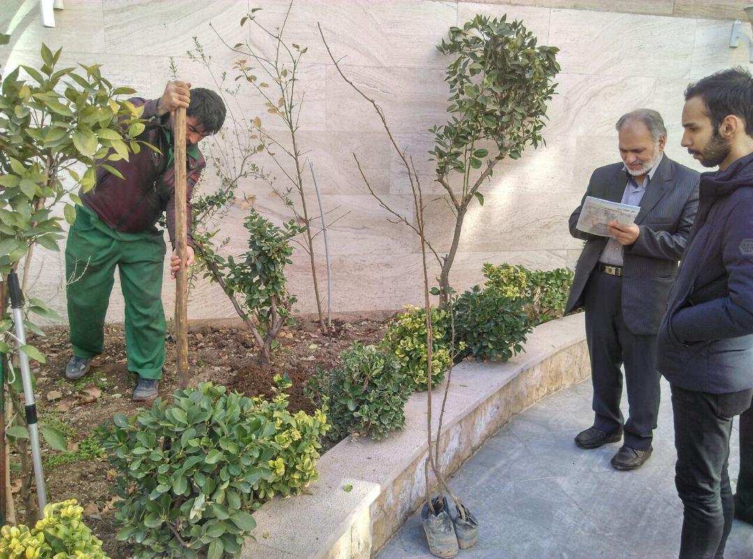 اجرای پویش درختکاری در غرب تهران