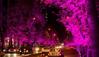 نورپردازی درختان به لحاظ کارشناسی درست نیست/تنها چند مورد نورپردازی در گذشته انجام شد