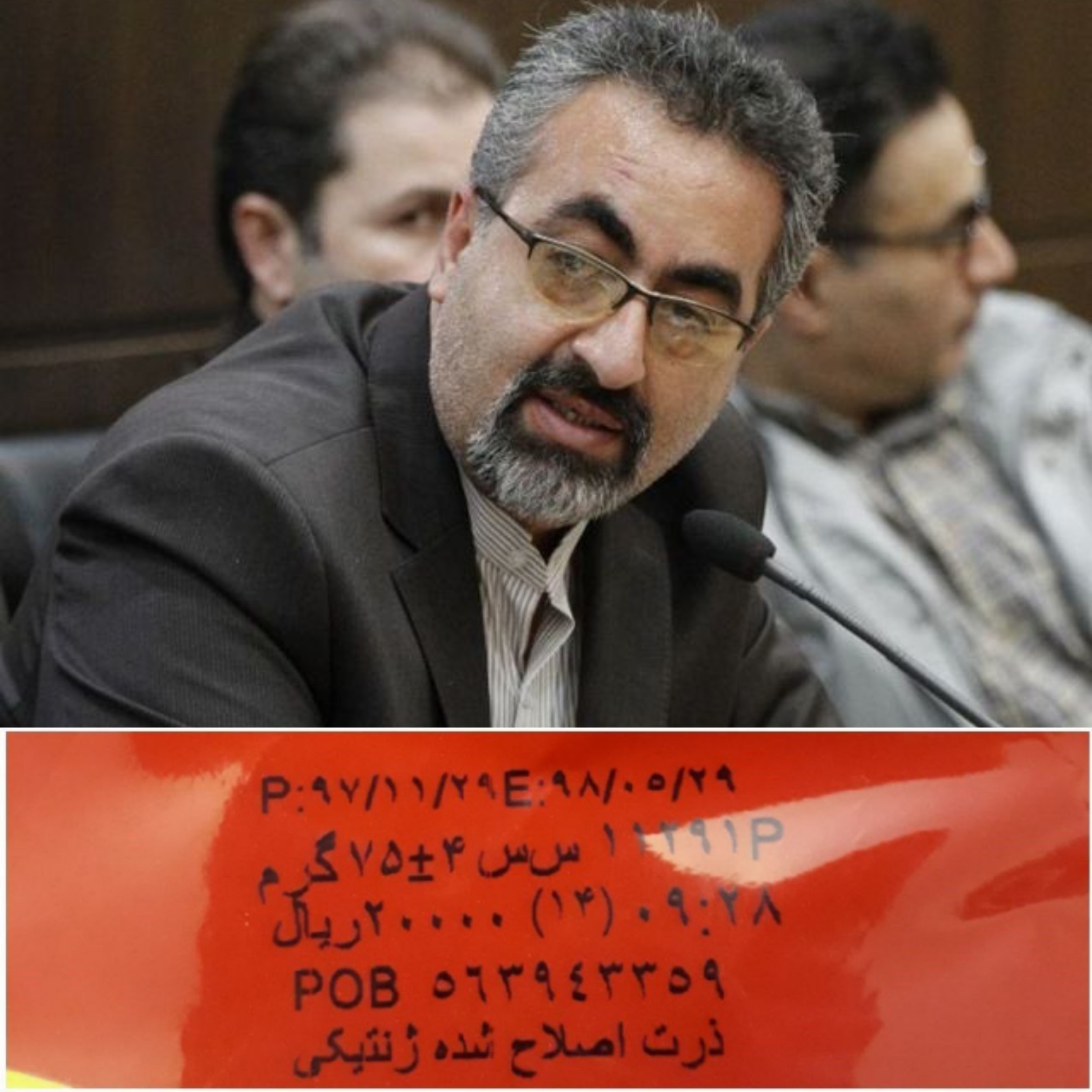 درج عبارت