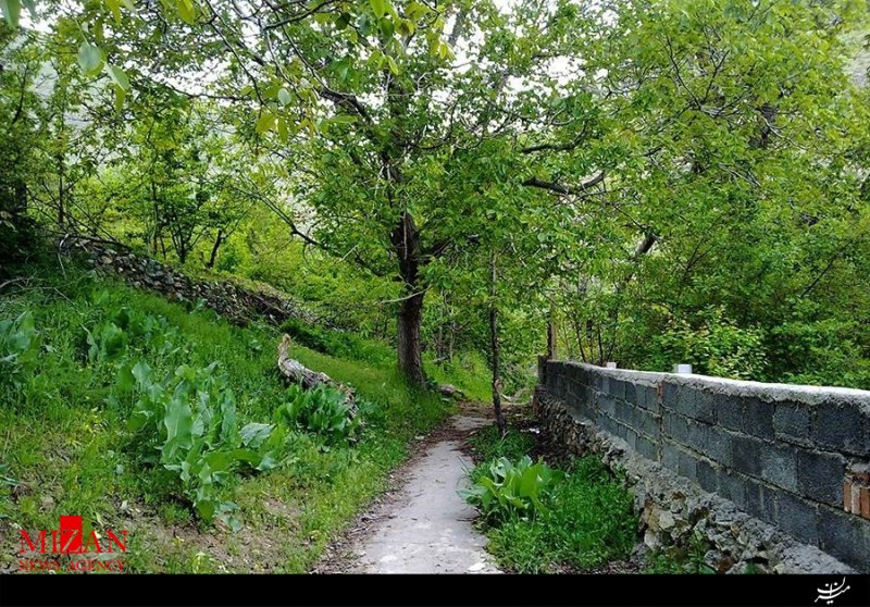 سفری کوتاه به روستاهای اطراف تهران که دنیایی دیگر را ترسیم کرده اند! سفری کوتاه به روستاهای اطراف تهران که دنیایی دیگر را ترسیم کرده اند!