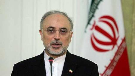 صالحی: امضاهای سند اراک تکمیل شد/ رفع تحریم ها و اجرای برجام به سرعت اقدامات ما بستگی دارد