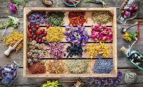 پای عطاری‌ها در کفش پزشکان/طبابت با طعم آزمون و خطا