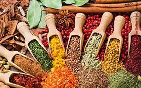 پای عطاریها در کفش پزشکان/طبابت با طعم آزمون و خطا پای عطاریها در کفش پزشکان/طبابت با طعم آزمون و خطا