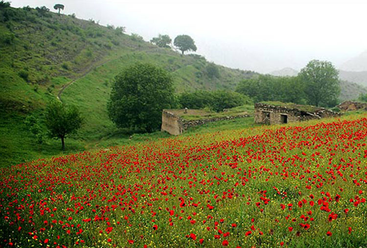 تکلیف به کارشناسان منابع طبیعی برای حضور در مدارس/ لزوم آموزش حفاظت از اراضی ملی و جنگلی به دانش آموزان