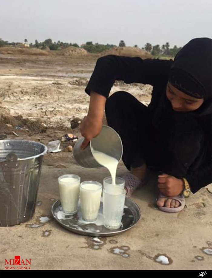 دختربچه عراقی که بهترین موکب رادر مسیر پیاده روی اربعین دارد + عکس دختربچه عراقی که بهترین موکب رادر مسیر پیاده روی اربعین دارد + عکس