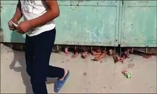 بوفه زیر دری!