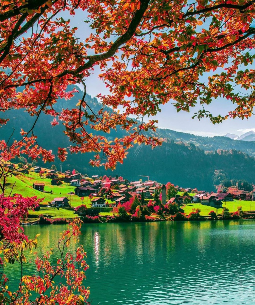 طبیعت زیبای سوئیس +عکس