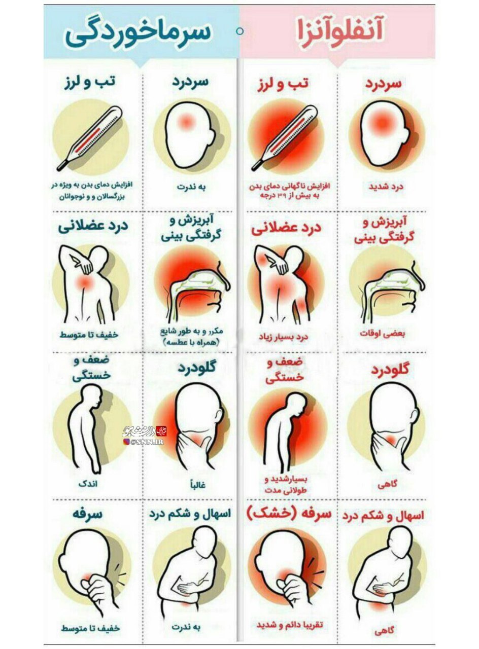 آیا میدانید؛ از نظر پزشکان میان سرماخوردگی و آنفلوآنزا چه تقاوتی وجود دارد؟ +اینفوگرافی آیا میدانید؛ از نظر پزشکان میان سرماخوردگی و آنفلوآنزا چه تقاوتی وجود دارد؟ +اینفوگرافی