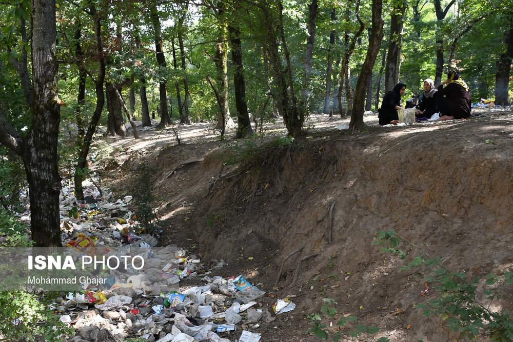 زباله از سر و کول جنگلهای گلستان بالا میرود زباله از سر و کول جنگلهای گلستان بالا میرود