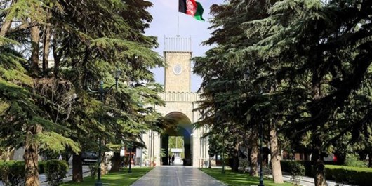 کشتهشدن