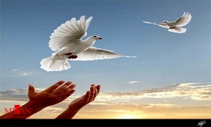 رضایت اولیاء دم و بخشش قاتل پس از ۹ سال با همت اعضای شورای حل اختلاف استان کرمانشاه