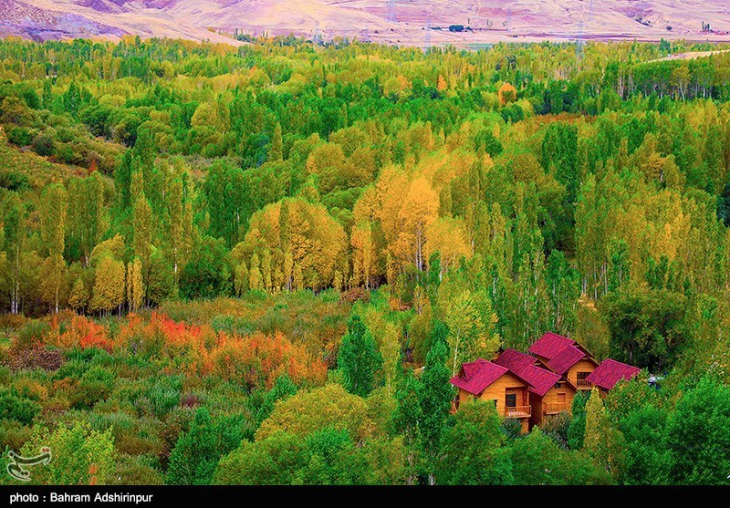 تصاویر رویایی از خزان برگ ها تصاویر رویایی از خزان برگ ها