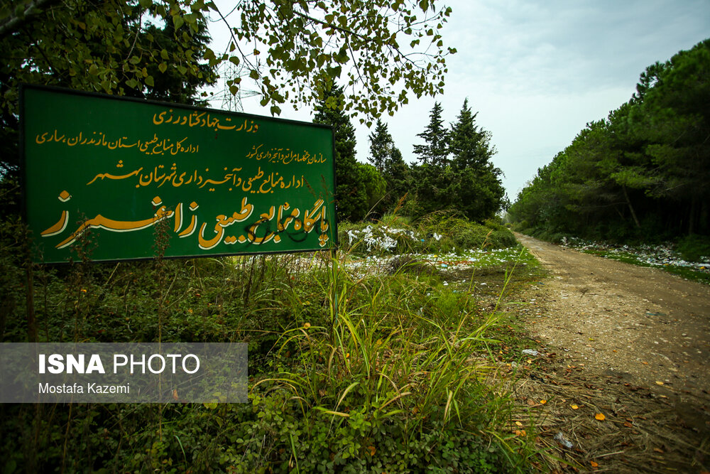 نامهربانی با طبیعت زیبای مازندران +تصاویر نامهربانی با طبیعت زیبای مازندران +تصاویر