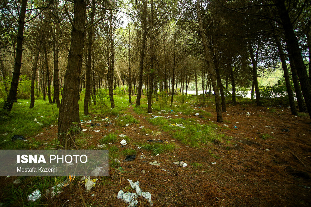 نامهربانی با طبیعت زیبای مازندران +تصاویر نامهربانی با طبیعت زیبای مازندران +تصاویر