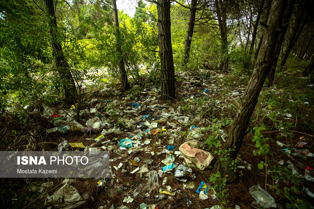 نامهربانی با طبیعت زیبای مازندران +تصاویر نامهربانی با طبیعت زیبای مازندران +تصاویر