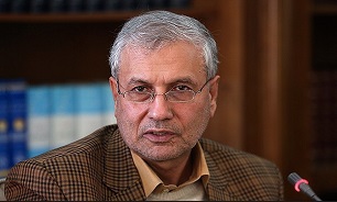 سخنگوی دولت: آمریکا برای هیچ کشوری دموکراسی نیاورده است