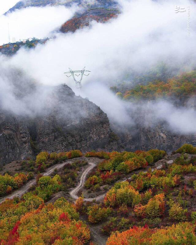 نمایی پاییزی از جاده چالوس +عکس