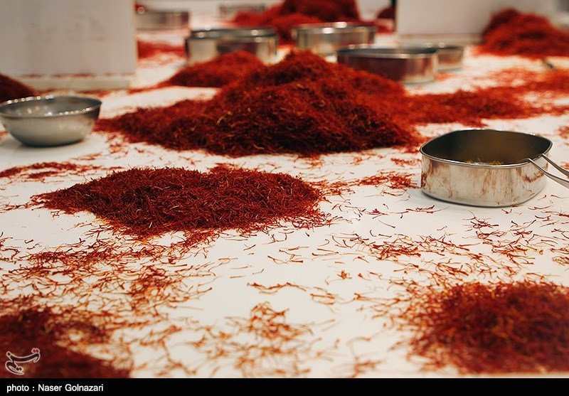 تصاویری از برداشت و بسته بندی زرپران در تربت حیدریه تصاویری از برداشت و بسته بندی زرپران در تربت حیدریه