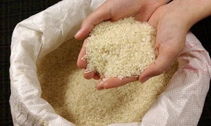 تکذیب افزایش ۲ برابری قیمت برنج پاکستانی/ برنج به اندازه کافی وجود دارد