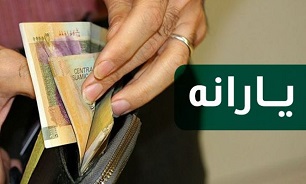 وزارت رفاه خانوارهای مشمول حمایت معیشتی را شناسایی می کند