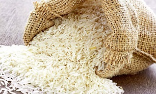 عرضه برنج های وارداتی در انبارها از امروز