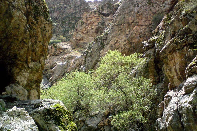 مکانهای دیدنی اطراف تهران برای سفر کوتاه مدت مکانهای دیدنی اطراف تهران برای سفر کوتاه مدت