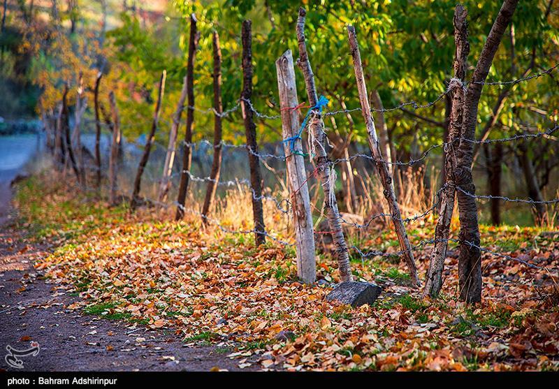 تصاویری از زیبایی پاییز در باغ‌شهر هیر اردبیل