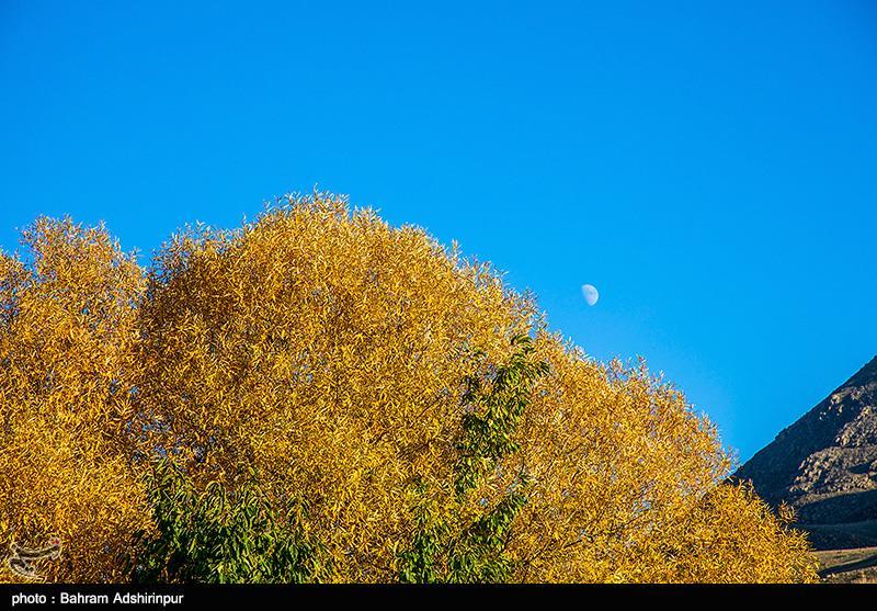تصاویری از زیبایی پاییز در باغ‌شهر هیر اردبیل