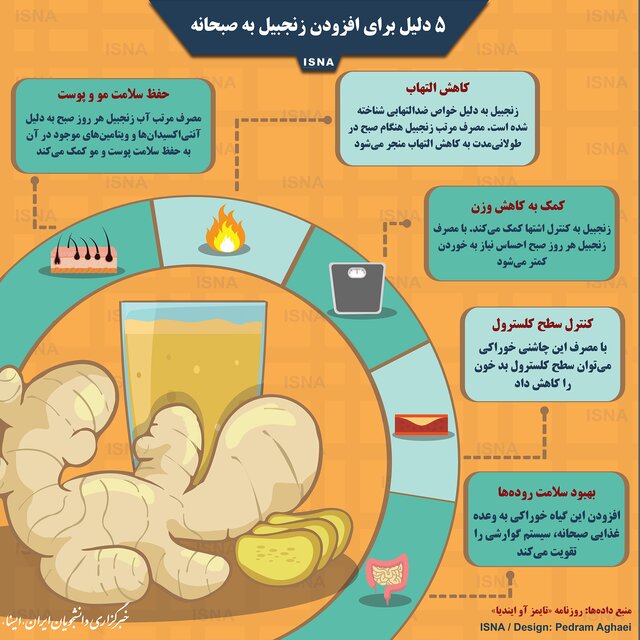 خواص دارویی و درمانی زنجبیل خواص دارویی و درمانی زنجبیل