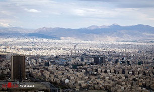 کلمه سال ۲۰۱۹ را بشناسید