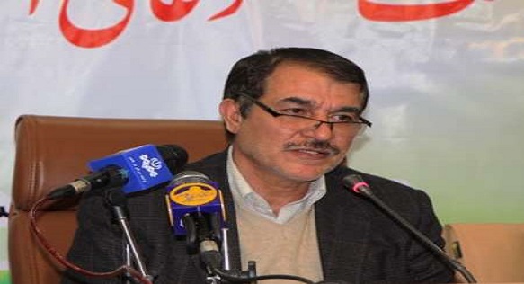 کشف تنها دو مورد مشکوک در مرز مهران/جمع آوری 300 عروسک از زائران برای بررسی