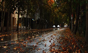 جزئیاتی از منابع آلاینده در خیابان ولیعصر