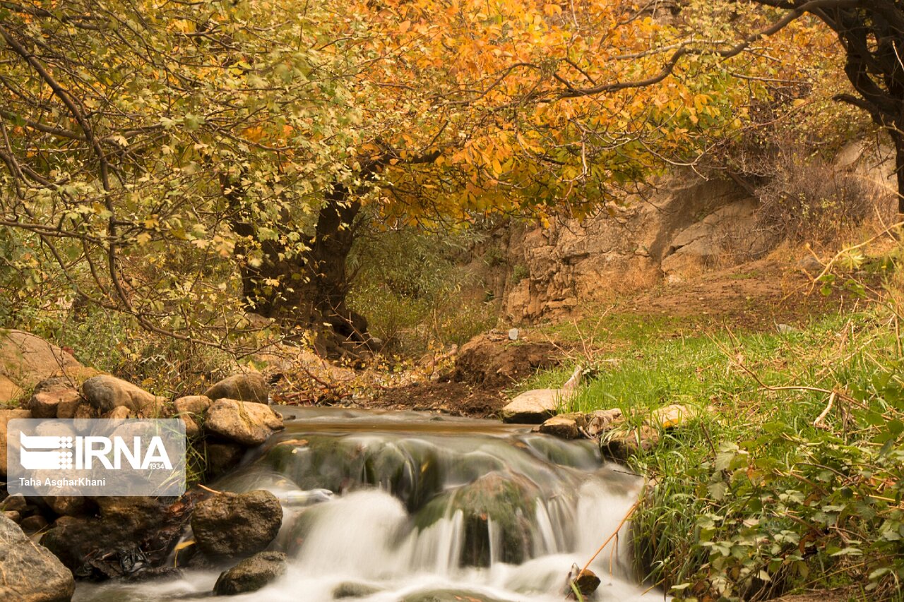 آخرین روزهای پاییزی فیرورق خوی به روایت تصویر آخرین روزهای پاییزی فیرورق خوی به روایت تصویر