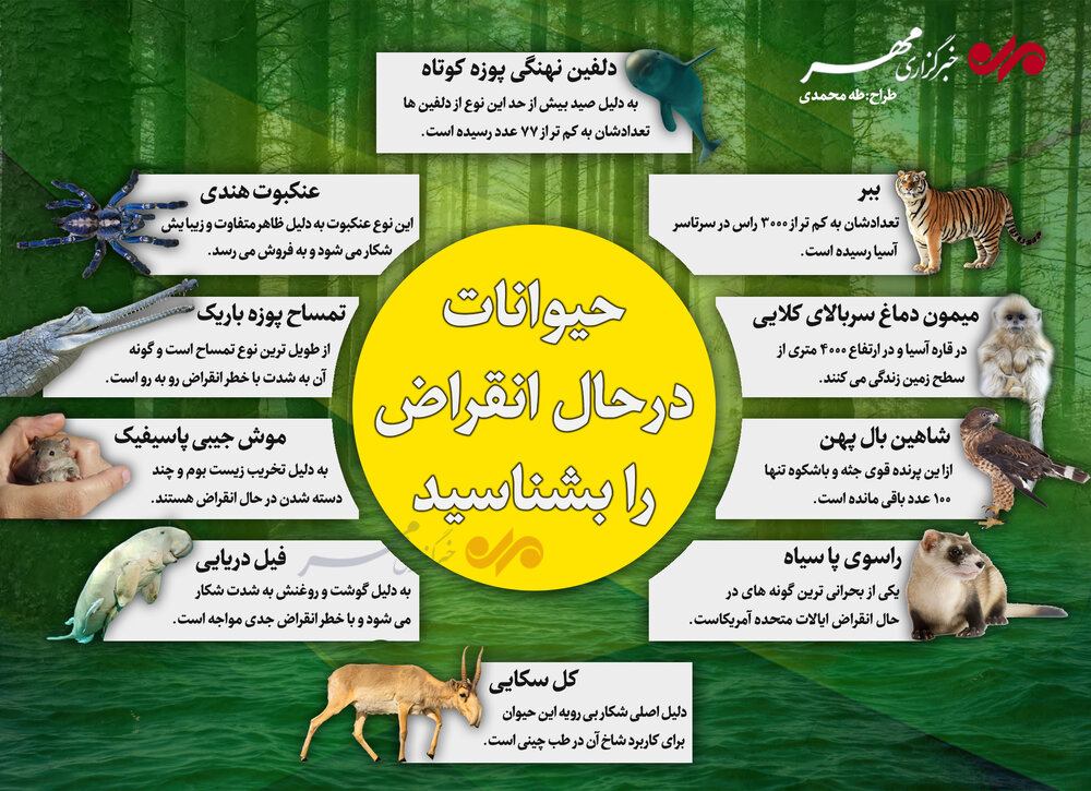 حیواناتی که در خطر انقراض قرار دارند حیواناتی که در خطر انقراض قرار دارند