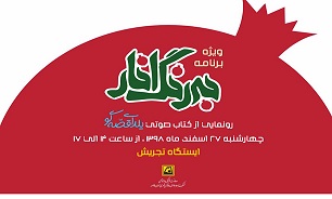 ویژه برنامه 
