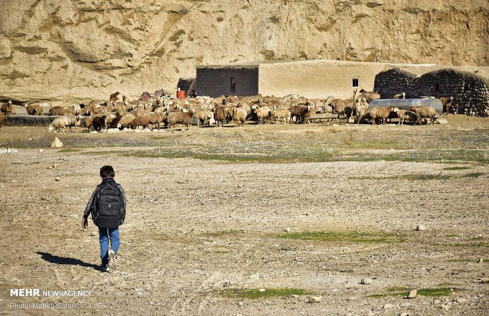 کوچ عشایر «کرمانج» به مراتع استان گلستان +تصاویر کوچ عشایر «کرمانج» به مراتع استان گلستان +تصاویر