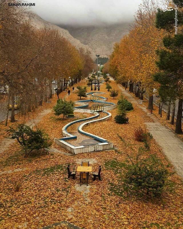 تصویری از طولانی ترین بلوار جنگلی در ایران تصویری از طولانی ترین بلوار جنگلی در ایران