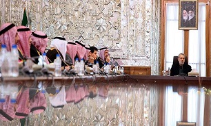 سوریه نیاز به قیّم ندارند و باید بتوانند قانون اساسی‌اش را بدون فشار بیرونی تدوین کند
