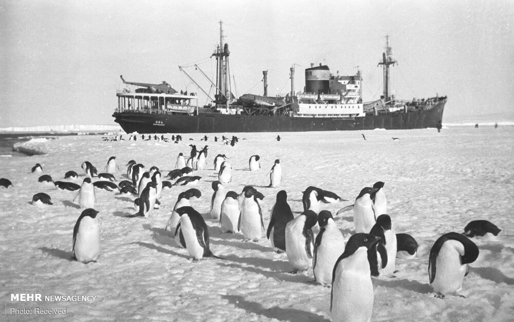 قطب جنوب؛ دو قرن پیش! قطب جنوب؛ دو قرن پیش!